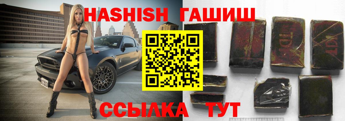 Богданович  ГАШ гарик  Вход с VPN  Гашиш  ГАШ hashish 