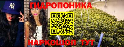 наркотики Аргун
