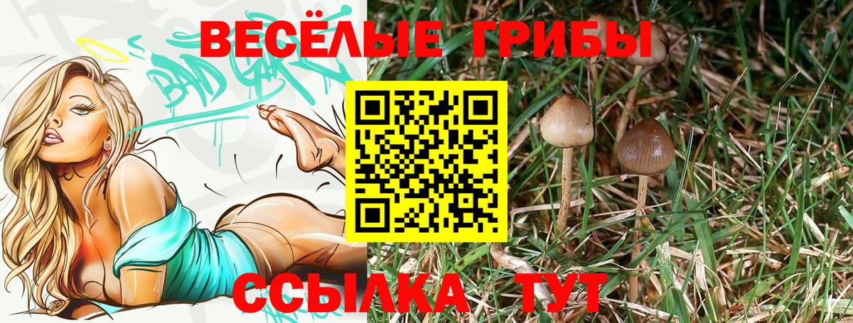 Галлюциногенные грибы ЛСД  Вход с VPN  Богданович 